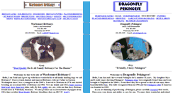 Desktop Screenshot of britts-n-pekes.com